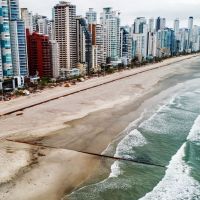 BC vai plantar vegetação de restinga na Central