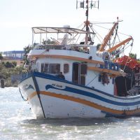 Região lidera atividades ligadas à pesca no Brasil e na América Latina