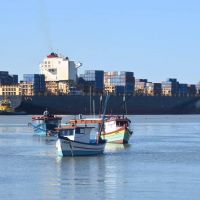 Itajaí mantém protagonismo na pesca industrial