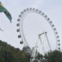 miniatura galeria