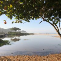 Pesquisadora alerta que ribeirão Ariribá e lagoa podem ser culpados pela poluição da praia Brava