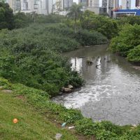 Limpeza de córrego estaria afetando rio e balneabilidade da praia Central 