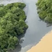 Reunião do Conseg vai discutir balneabilidade