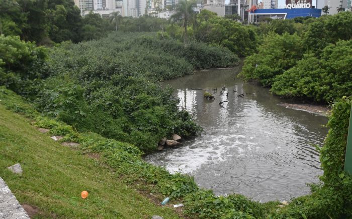 Limpeza de córrego poluiria rio Camboriú e afetaria balneabilidade (Foto: João Batista)