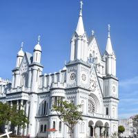 Começam as comemorações do bicentenário da Igreja Matriz 