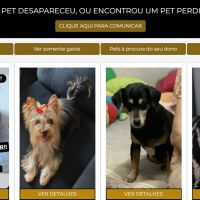 Sistema de busca de pets da Polícia Civil já tem mais de 270 cadastrados