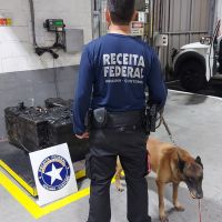 Receita e PF flagram 329 quilos  de cocaína em carga de produtos suínos