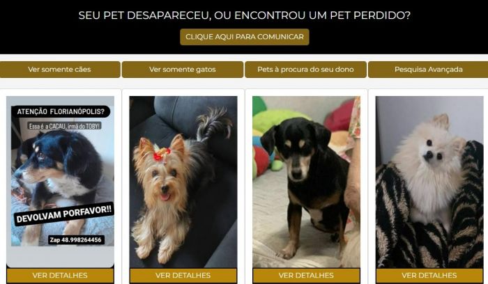 O cadastro pode ser feito tanto pelo tutor que perdeu o pet quanto por alguém que encontrou o animal (Foto: Divulgação)