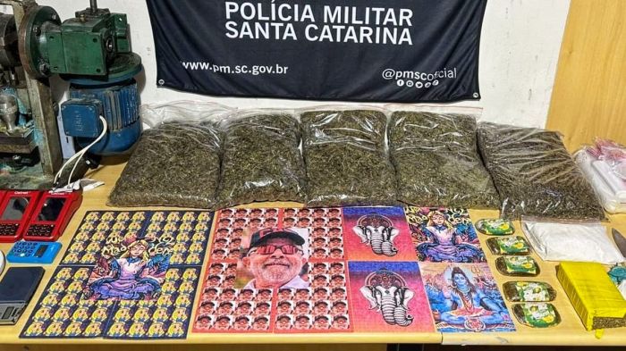 Ele caiu com sete mil pontos de LSD
 (Foto: Divulgação)