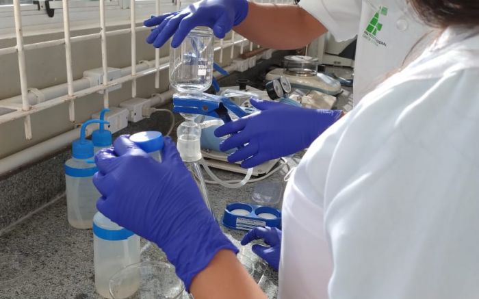 Todas as amostras que foram recebidas no laboratório até agora revelaram contaminação por microplásticos
 (Foto: Divulgação)