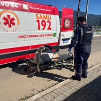 Cão subiu na maca com tutor que passou mal em Itapema 