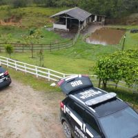 Polícia já prendeu 17 integrantes de grupos nazistas em SC, RS, PR e MG