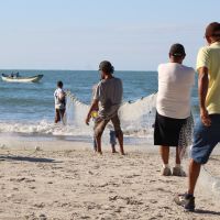 Domingo teve lances de tainha em três praias de BC