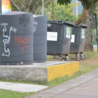 Ratazanas invadem a Beira Rio