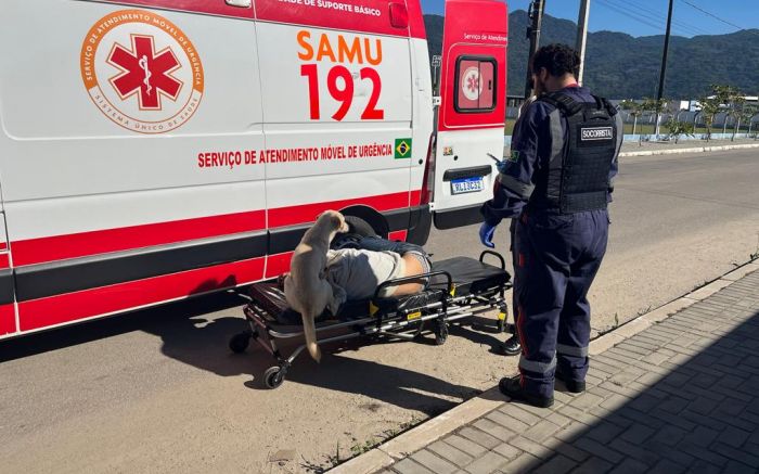 Dog ficou esperando a ambulância recolher morador de rua 
(Foto: Costa Esmeralda)