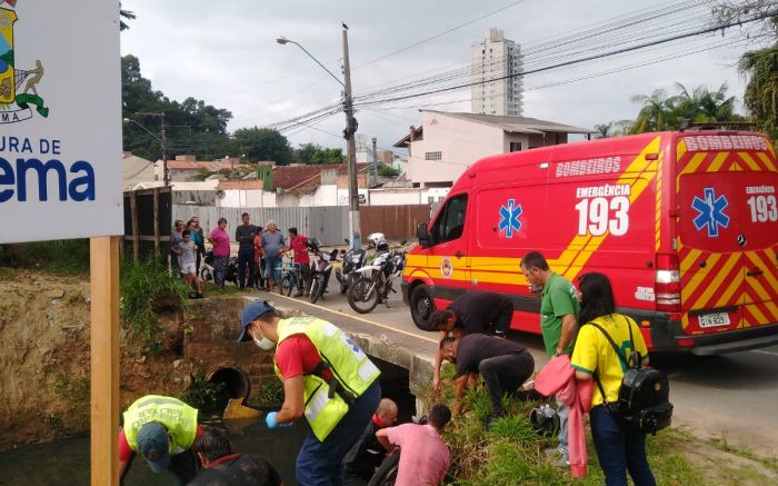 Vítima saiu sozinha da água 
(Foto: Divulgação)