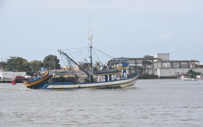 Itajaí e Navegantes têm, juntas, 62% do mercado de pescados do Brasil (FOTO:JOÃO BATISTA)