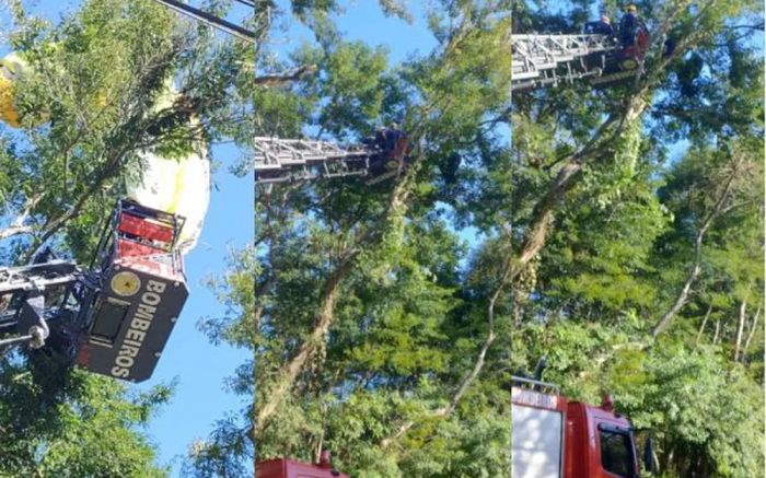 Uma auto escada acoplada à viatura dos bombeiros foi usada  (Foto: Divulgação)