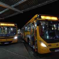 miniatura galeria