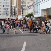 Cãominhada é adiada por conta da chuva