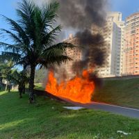 Veículo pega fogo na marginal da BR 101