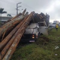 Carga de madeira desaba sobre a cabine de motorista 