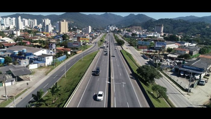 Em Garuva, árvore caiu e afeta pista no sentido sul (Foto: Arquivo/Divulgação)