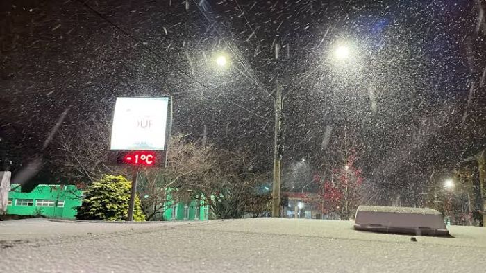 Bom Jardim da Serra, São Joaquim e Urubici tiveram neve na madrugada (Foto: Reprodução)