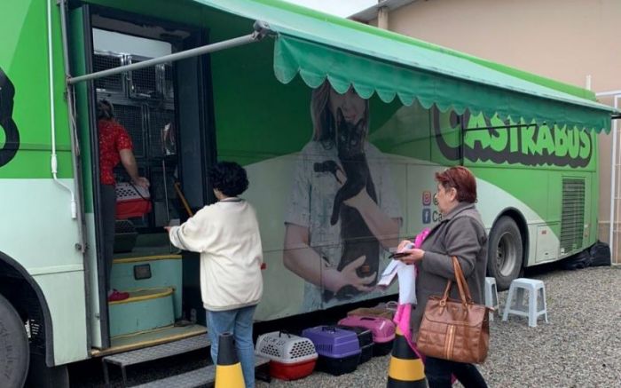 Itajaí faz novo mutirão de castração de animais. (Fotos: Divulgação)