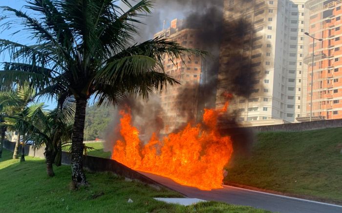 Chamas e fumaça foram vistas a quilômetros  

(Foto: Reprodução)