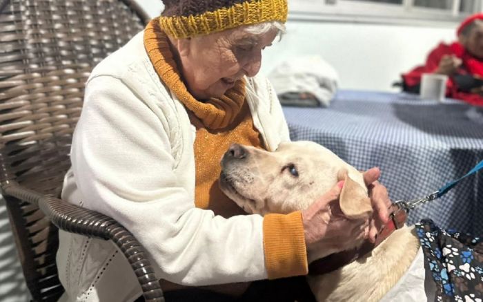 Nestor com a vovó do Lar Divina Providência: símbolo do amor entre idosos e animais

 / Divulgação