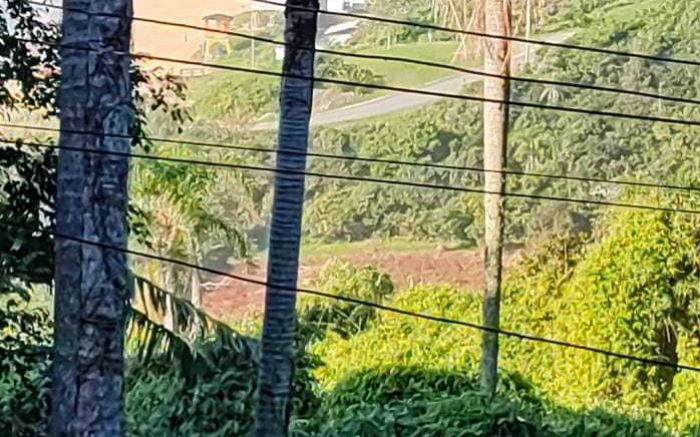 Local, na beira do mar, seria usado pra criação de gado e plantação de milho
(Foto: Reprodução)