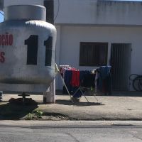 Morador denuncia maus-tratos contra cão