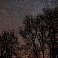 Vai ter chuva de estrelas cadentes em todo o mundo neste final de semana