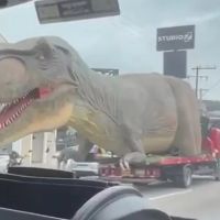 Dinossauro gigante é visto dando rolê em BC