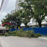 Árvores em frente ao hospital foram detonadas por poda