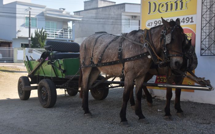 Atividades recreativas como cavalgadas, corridas e passeios seguiriam liberados (Foto: João Batista)