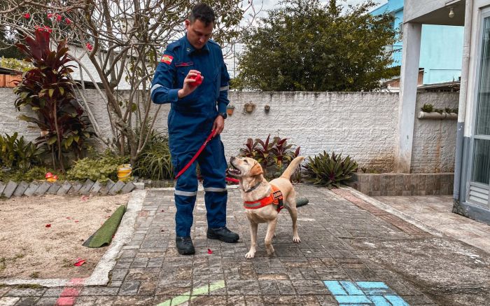 Mona vai levar alegria aos pacientes 
(Foto: divulgação)