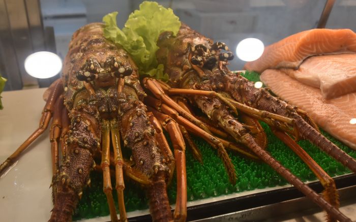 Cronograma prevê ouvir pescadores e pesquisadores pra definir novas regras (Foto: João Batista)