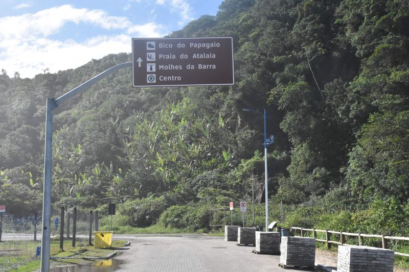 Ong de Piçarras cuida das áreas verdes