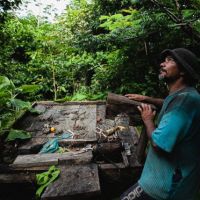 Mesmo ameaçados pelo agronegócio, agricultores criam oásis agroflorestal no Pará