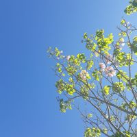 Primavera inicia com calor e pancadas de chuva 