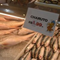 Defeso da sardinha começa no domingo