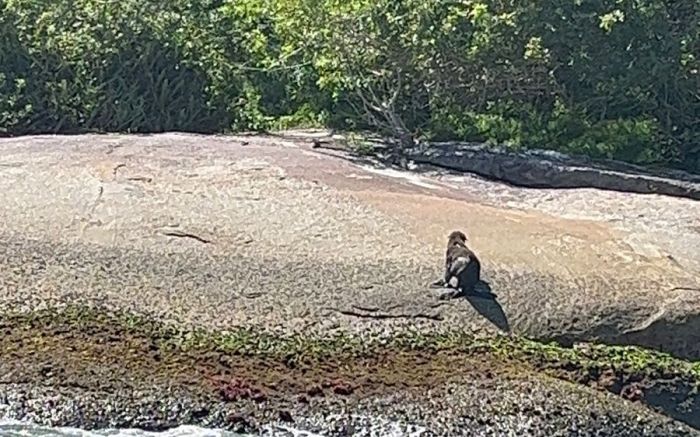 Vídeos do bonitão estão circulando pela net (Foto: Leitor)