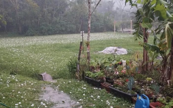 Moradora foi ferida na cabeça  
(Foto: Reprodução/Radharani Fortes)