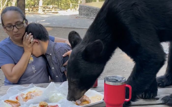 Visitinha foi compartilhada nas redes sociais (FOTO: reprodução)