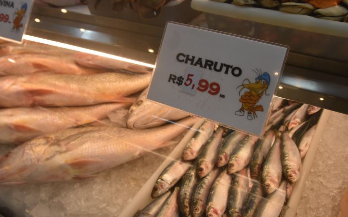 Gordinho, palombeta, papa-terra e corvina são alternativas com preços populares (Foto: João Batista)