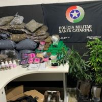 PM apreende quase 100 kg de maconha em Barra Velha