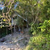 Dono de terreno é multado por construir galpão em área de mata Atlântica