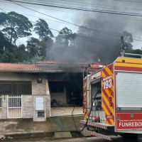 Homem mata gatos para se vingar da ex